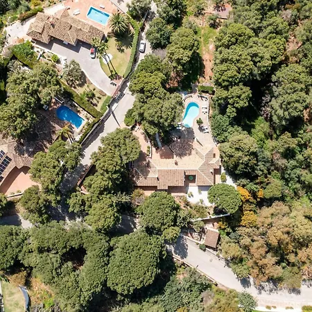 Villa Olivia